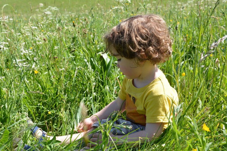 25 mai st hilaire (33)