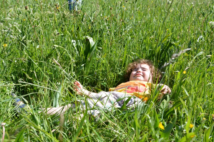 25 mai st hilaire (34)