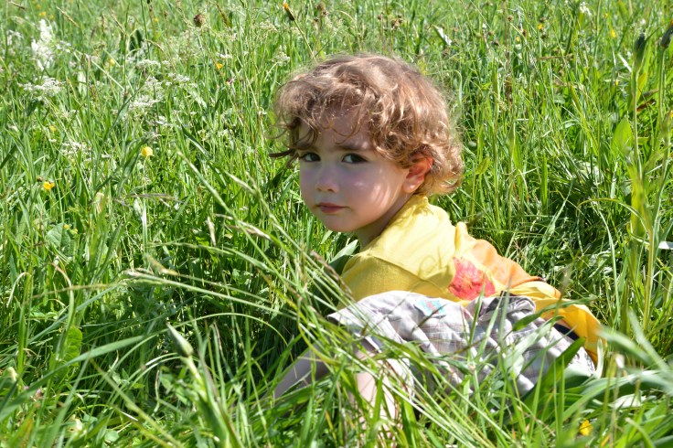 25 mai st hilaire (35)